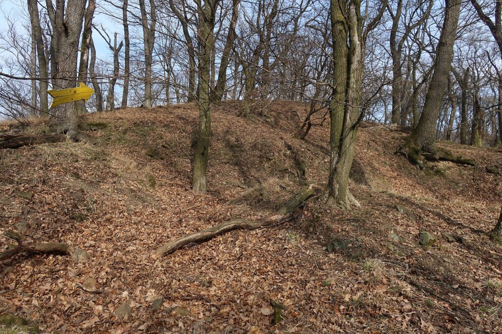 Galeriebild