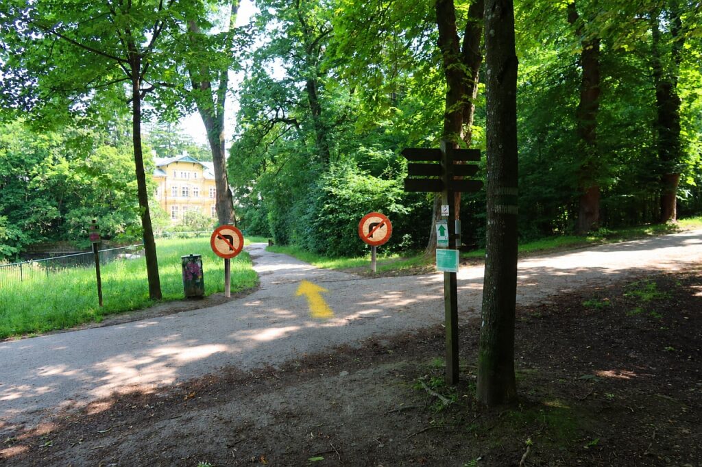 Galeriebild