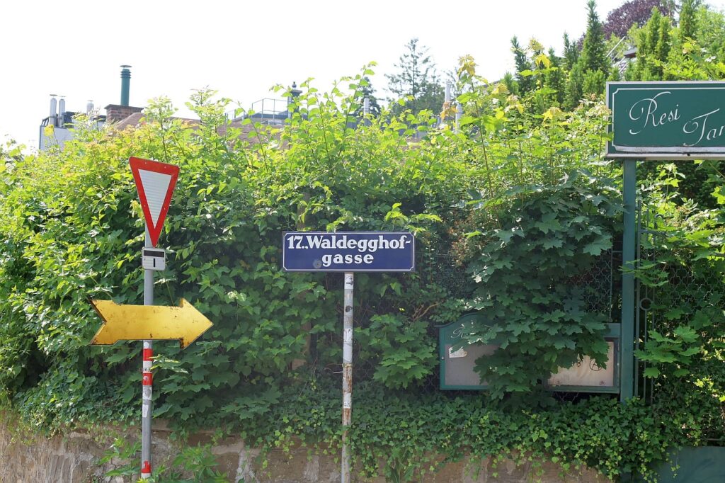 Galeriebild