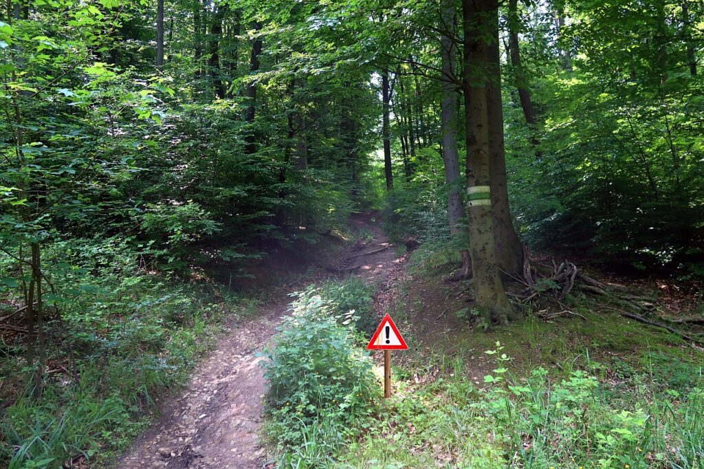 Galeriebild