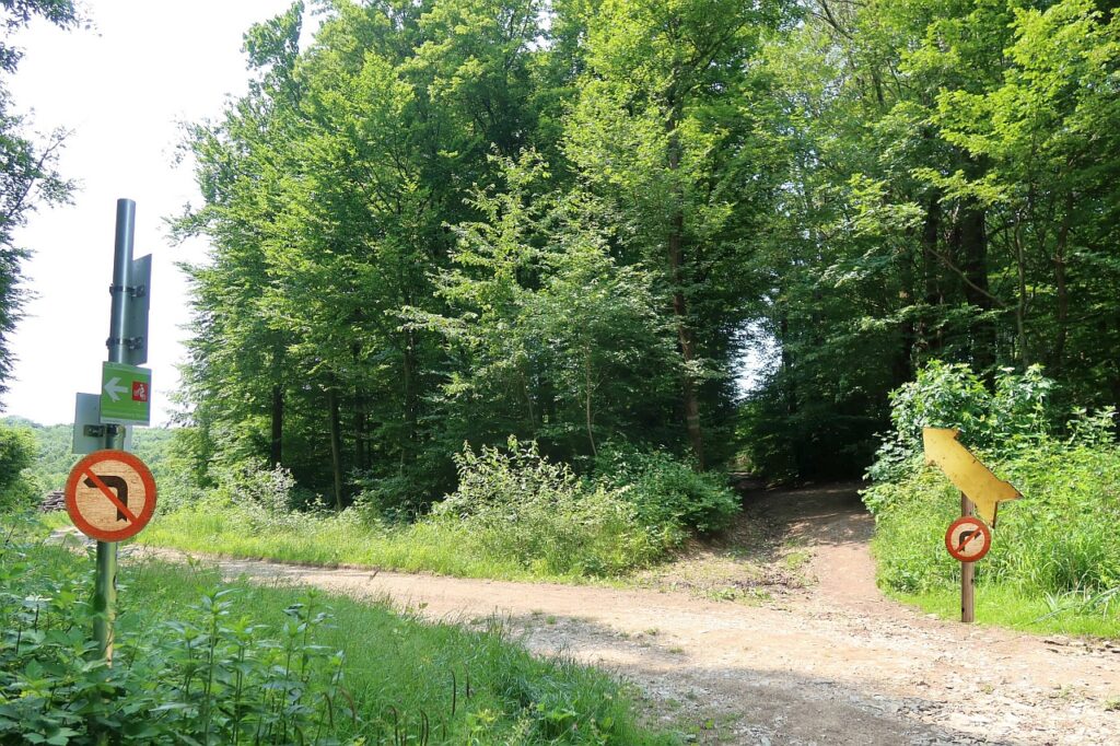Galeriebild